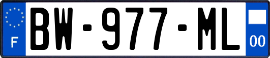 BW-977-ML
