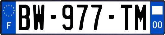 BW-977-TM