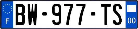 BW-977-TS