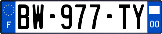 BW-977-TY