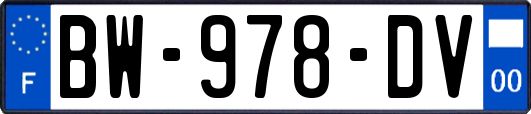 BW-978-DV