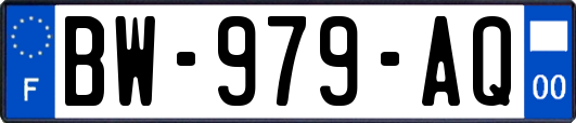 BW-979-AQ