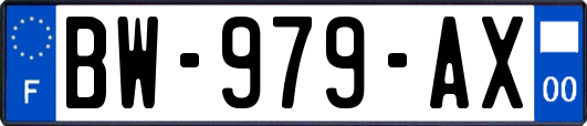 BW-979-AX