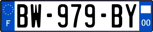 BW-979-BY