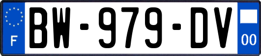 BW-979-DV