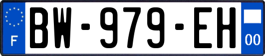 BW-979-EH