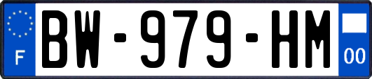 BW-979-HM