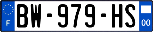 BW-979-HS