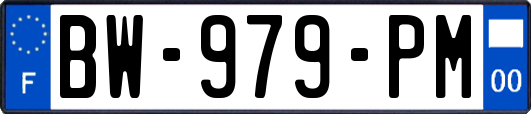 BW-979-PM