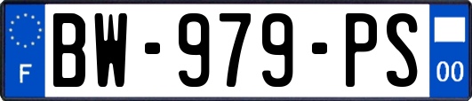 BW-979-PS