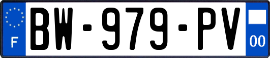BW-979-PV