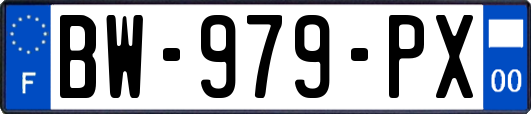 BW-979-PX