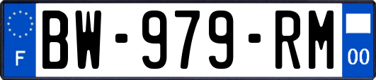 BW-979-RM