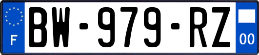 BW-979-RZ