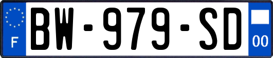 BW-979-SD
