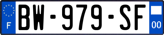 BW-979-SF