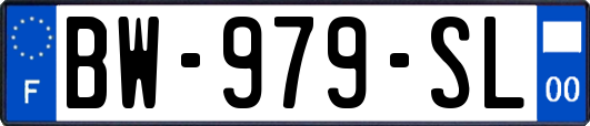 BW-979-SL