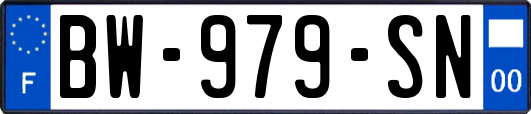 BW-979-SN
