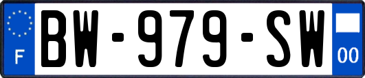 BW-979-SW