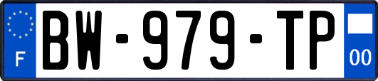 BW-979-TP
