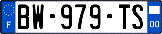 BW-979-TS