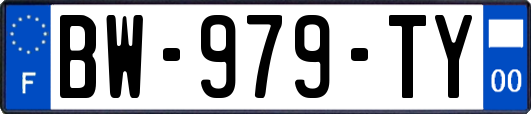 BW-979-TY