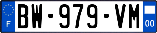 BW-979-VM