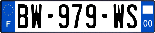 BW-979-WS