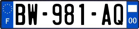 BW-981-AQ