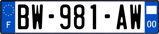 BW-981-AW