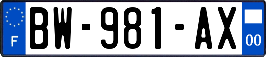 BW-981-AX