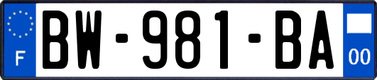 BW-981-BA