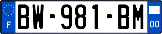 BW-981-BM