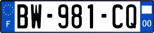 BW-981-CQ