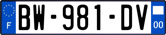 BW-981-DV