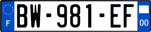 BW-981-EF