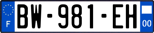 BW-981-EH