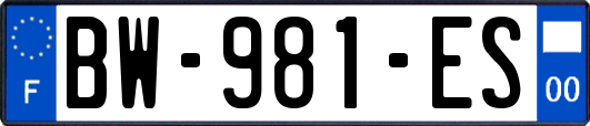 BW-981-ES