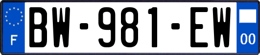 BW-981-EW