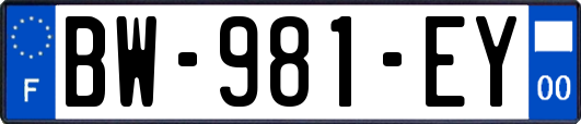 BW-981-EY