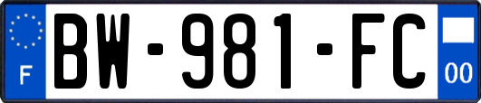 BW-981-FC