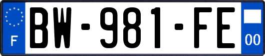 BW-981-FE