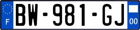 BW-981-GJ