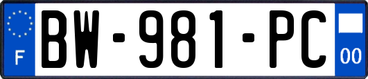 BW-981-PC