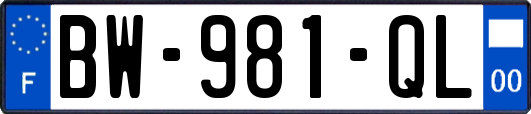BW-981-QL