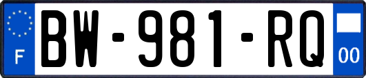 BW-981-RQ