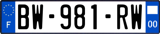 BW-981-RW