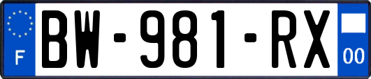 BW-981-RX