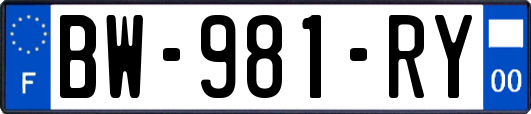 BW-981-RY