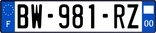 BW-981-RZ